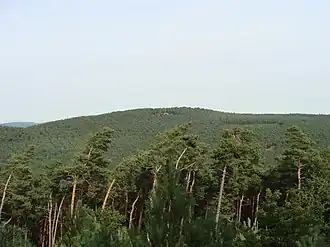 Blick auf die Hohe Loog