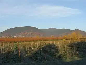 Haardtrand mit Blick zum Kalmitmassiv von der Rheinebene