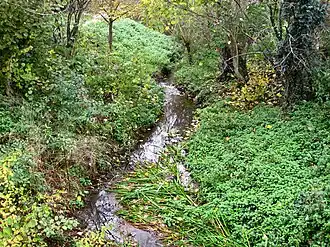 Alfterer Bornheimer Bach (Roisdorfer Bornheimer Bach) in Roisdorf