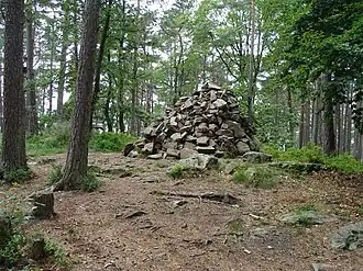 Steinernes Köppl auf dem Gipfel im Sommer