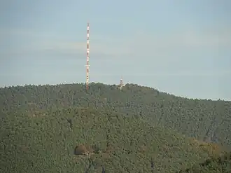 Gipfelregion des Weinbiets aus Südwesten mit Sender und Weinbietturm