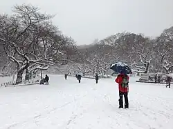 Sakuragi – Stadtviertel in Ueno S. 18