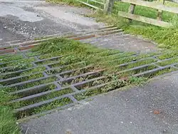 Zugewachsene Viehgitter hat seine Wirkung verloren.