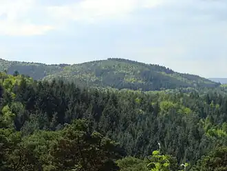 Blick von Hahnenschritt zum Rotsohlberg