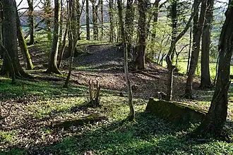 Schacht des Essarts.