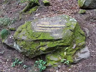 Ritterstein 240 am Südosthang