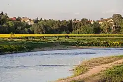 Mulde bei Bad Düben