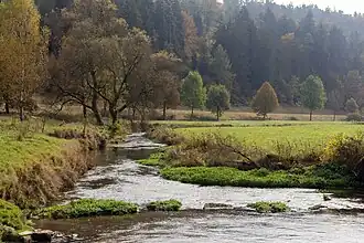 Breitenbrunner Laber bei Breitenbrunn