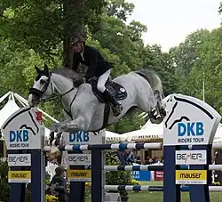 Walter Gabathuler auf Silver Surfer (2018)