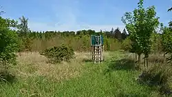 Stelle im Wald zwischen Albach und Lich, wo sich das US-Depot mit den nuklearen Sprengköpfen befand.