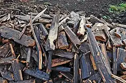 Ausgegrabene Hölzer an der Fundstelle, die exemplarisch dendrochronologisch beprobt wurden