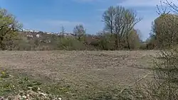 Feuchtbodensiedlung Ehrenstein