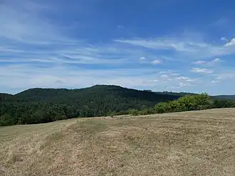 Rauhberg – Blick vom Fuchsloch