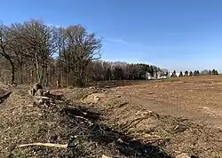 Östlicher Teil des Hohlwegs nach Fällung von ihn säumenden Eichen. Dieser Teil soll für die geplante Gewerbeansiedlung abgetragen werden.