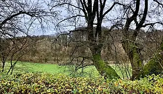 NSG Sumpfgebiet im Ölbachtal