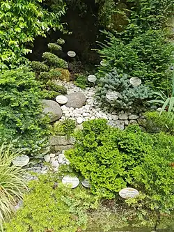 Verschiedene Pflanzen im Gardino Botanico