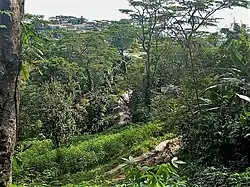 An der Straße von Bazartete nach Leorema