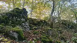 Mauerreste der ehemaligen Burg