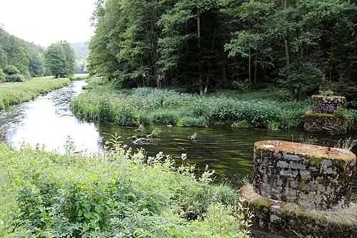 Relikte Anzersteig (2022)