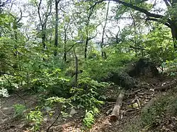 Ruine der Josephskapelle bei Neustadt an der Weinstraße