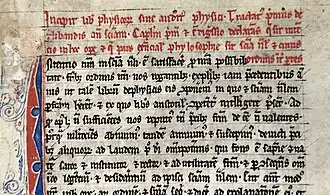 Physicorum Libri VIII von Albertus Magnus