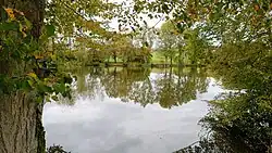 Meerpfuhl im Herbst 2024