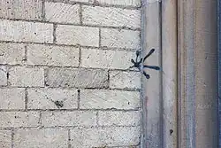 Ausschnitt aus dem Skelett nur die Hand mit 3 Strichen, die über die Mauer hinweg auf die Säulenbündel des Portals gesprüht sind