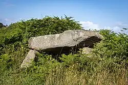 Großer prähistorischer Dolmen aus massiven, verwitterten Granitblöcken; drei Tragsteine stützen eine breite, flach liegende Deckplatte. Die Steine sind unbehauen und mit Flechten überzogen, umgeben von dichtem Farn und Gras