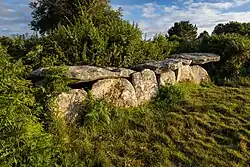 Steinreihe aus mehreren Tragsteinen und insgesamt vier sichtbaren Decksteinen, umgeben von Vegetation