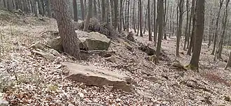 Reste des verschleiften und durch einen Weg gestörten südwestlichen Walles der Anlage