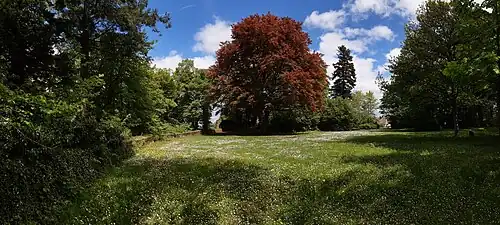 Südwestliches Hauptburggelände mit Ringmauerresten