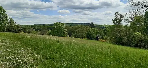 Blick vom Vorburggelände in die Landschaft