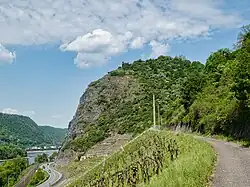 Hammersteiner Ley mit Burgruine