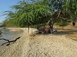 Strand bei Pasir Putih