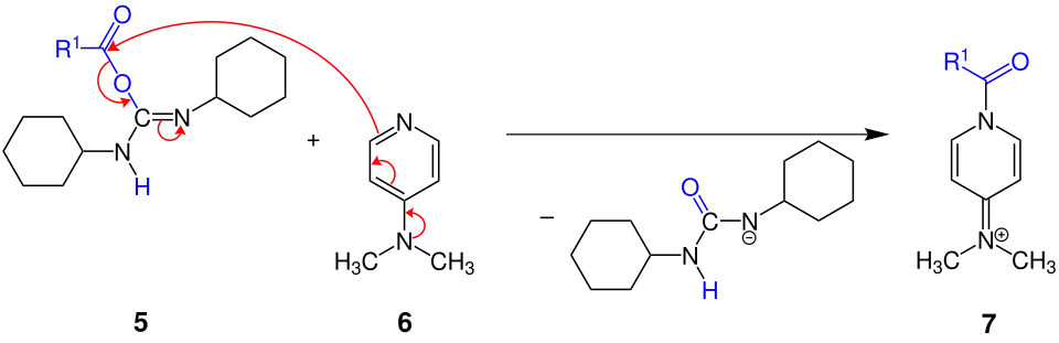 Teilschritt des Mechanismus der Steglich-Veresterung
