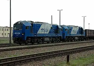 Newag 311Da im polnischen Szczebrzeszyn