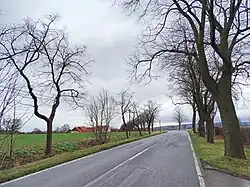 Blick vom Friedhof Altenhagen auf Schoholtensen
