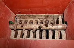 Stachelwalze und Gitter