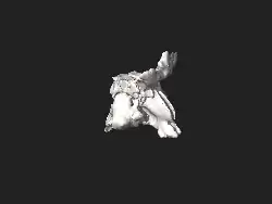 3D-Ansicht des Abgusses der Nasenhöhle und Nasennebenhöhlen eines Menschen