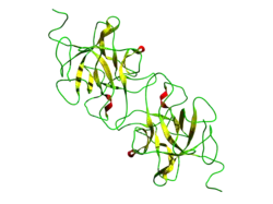 Miraculin (Synsepalum dulcificum)