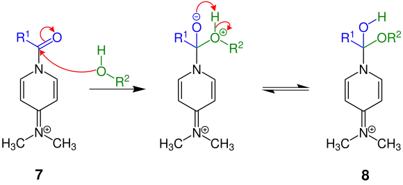 Teilschritt des Mechanismus der Steglich-Veresterung