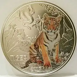 Tiger Bildseite