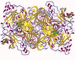 Diaminoxidase