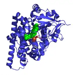 Cholesterin-Monooxygenase