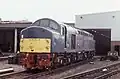 D213 „Andania“ in Crewe (1987)