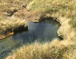 Heart Lake Geyser Basin, Quelle HL9