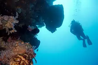 Atauro ist ein Tauchgebiet