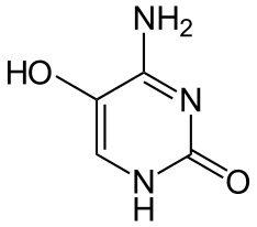 Struktur von 5-Hydroxycytosin