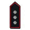 Landesfeuerwehrverband stellv. Vorsitzende/-r