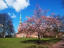 Kapitän-Schröder-Park, im Hintergrund St. Trinitatis